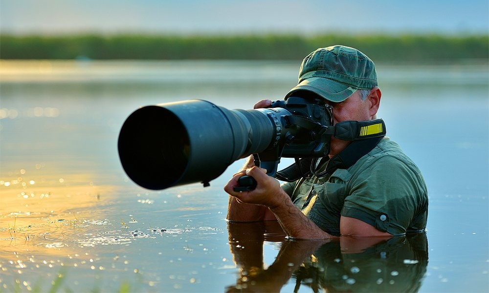 What is the Best Digital Camera for Wildlife Photography?